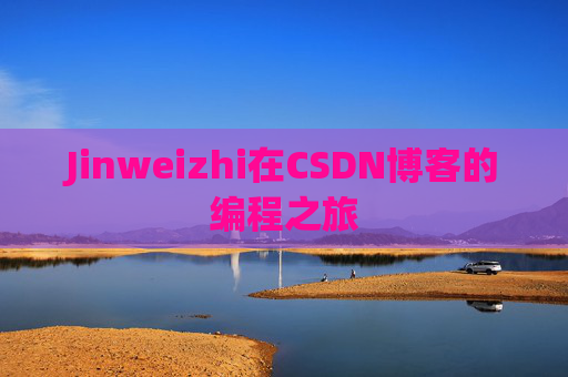 Jinweizhi在CSDN博客的编程之旅